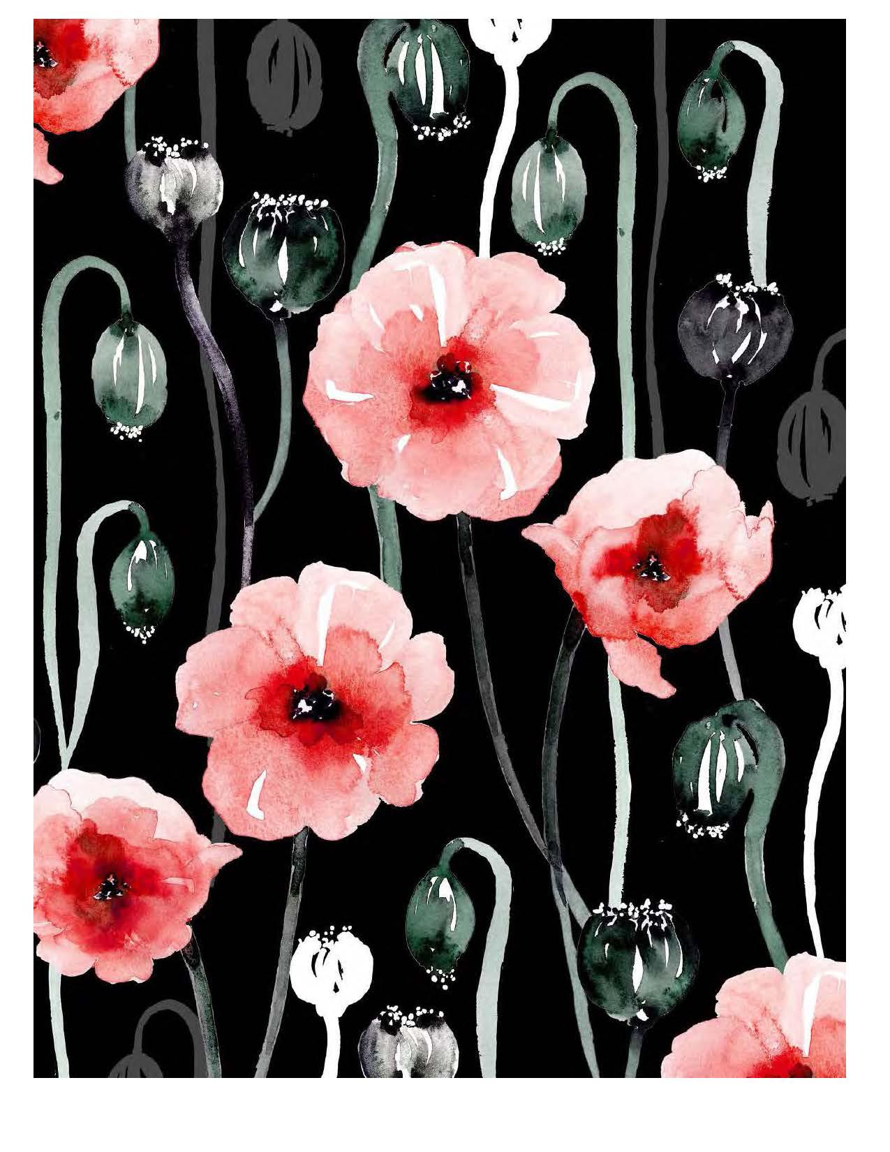 Sara Berrenson Illustration pink flowers on black background