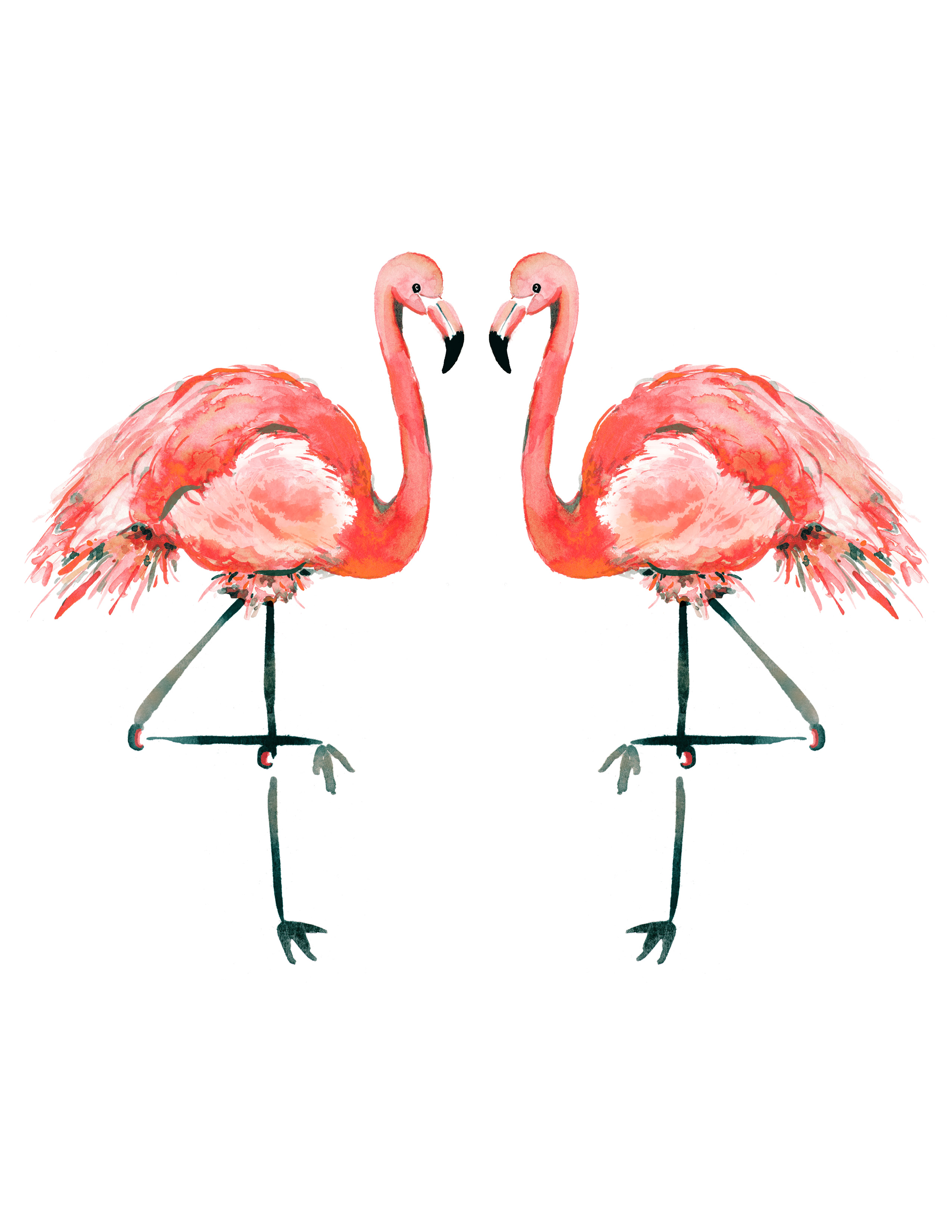 Sara Berrenson Illustration watercolor flamingo pair