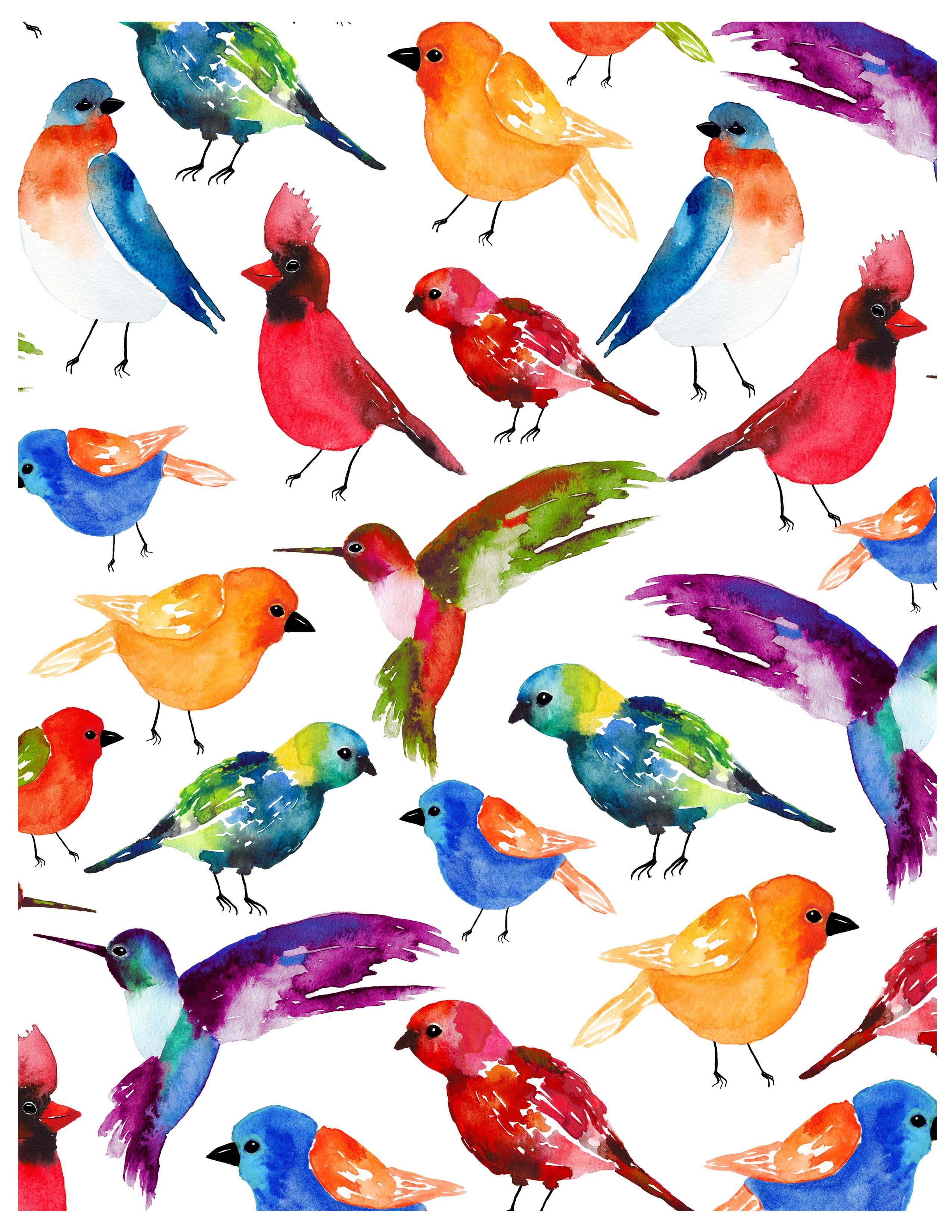 Sara Berrenson Illustration watercolor birds cardinal robin finch