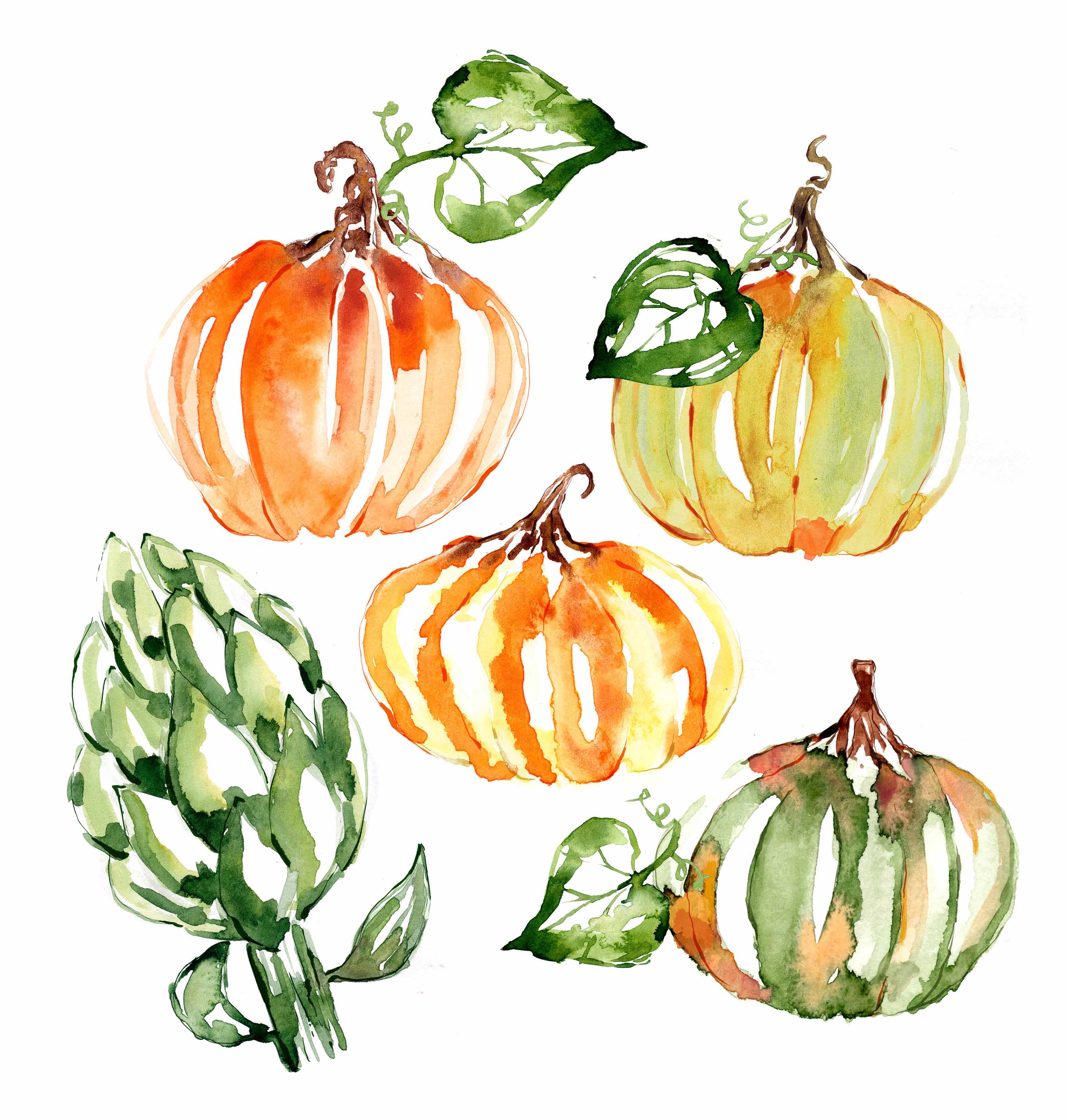 Sara Berrenson Illustration watercolor pumpkins and gourds