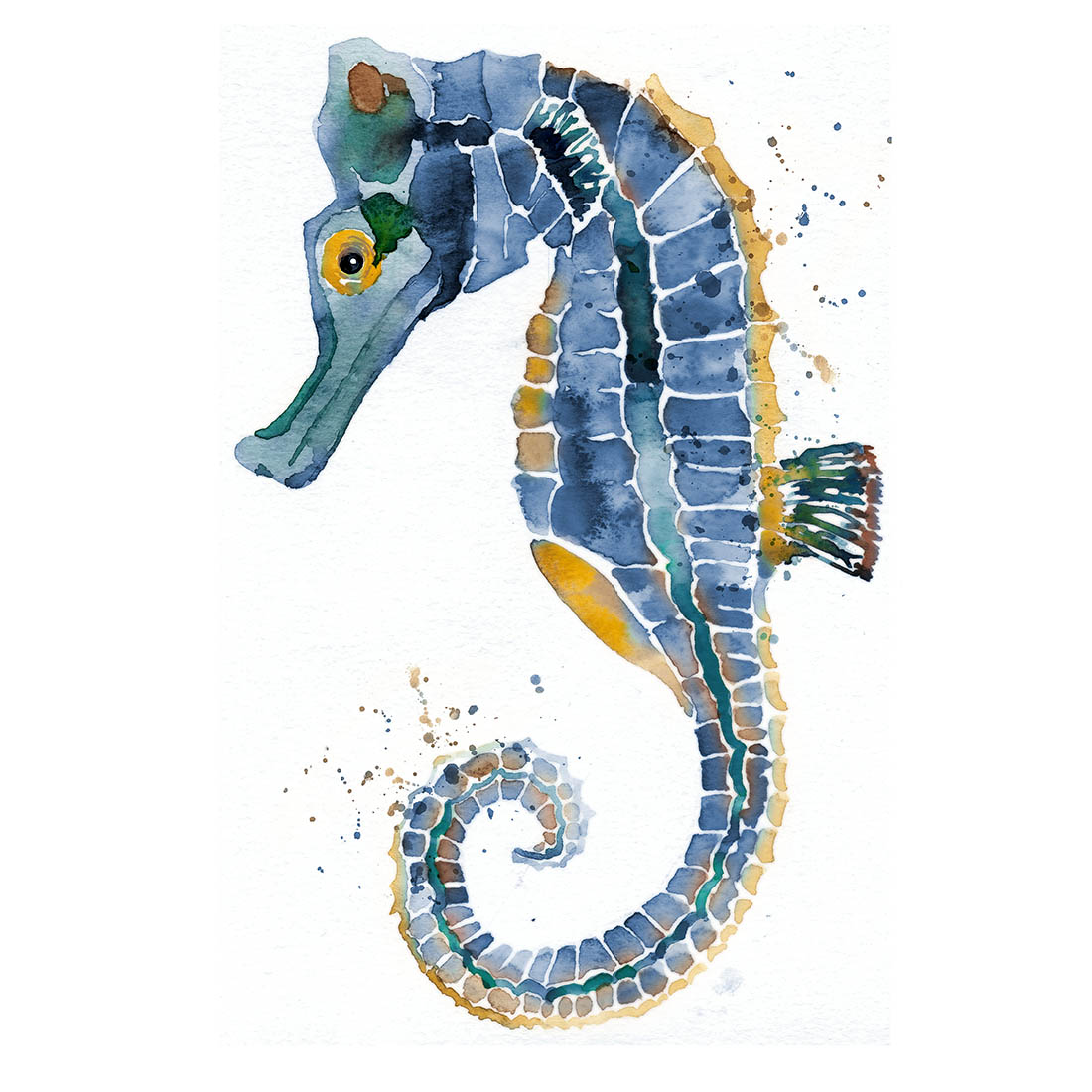 Sara Berrenson Illustration watercolor seahorse