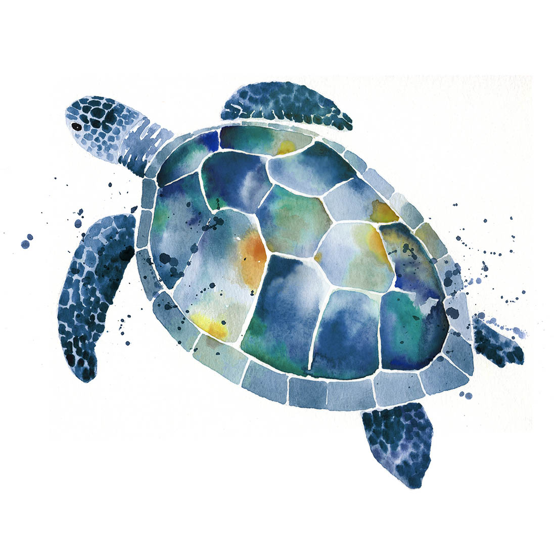 Sara Berrenson Illustration watercolor sea turtle