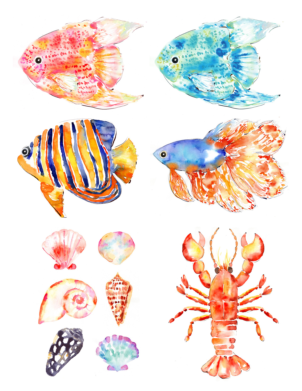 Sara Berrenson Illustration watercolor fish and lobster