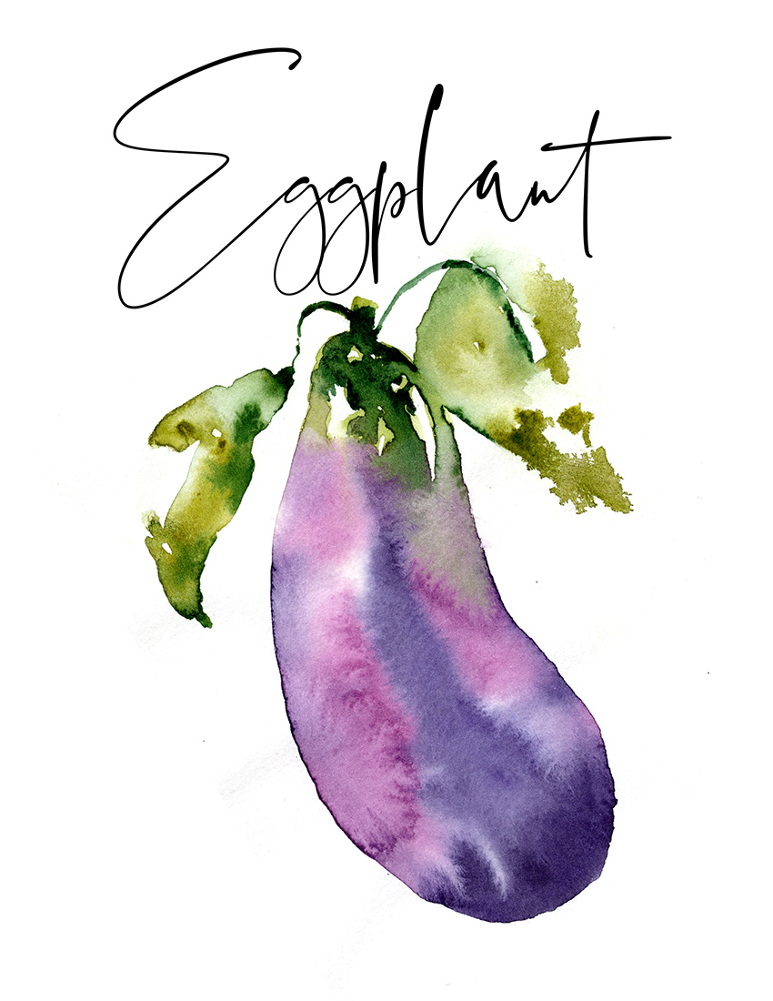 Sara Berrenson Illustration watercolor eggplant