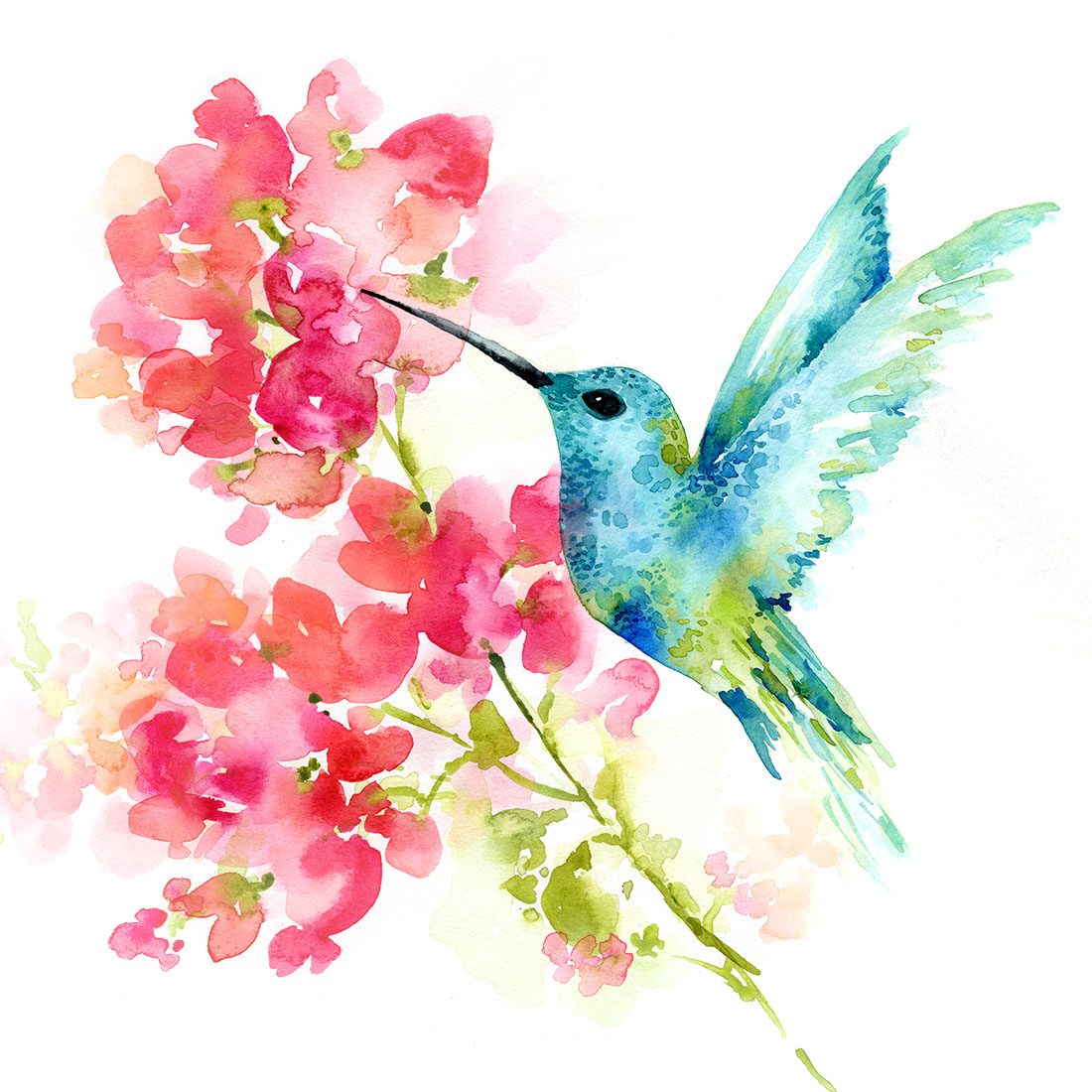 Sara Berrenson Illustration hummingbird and flower