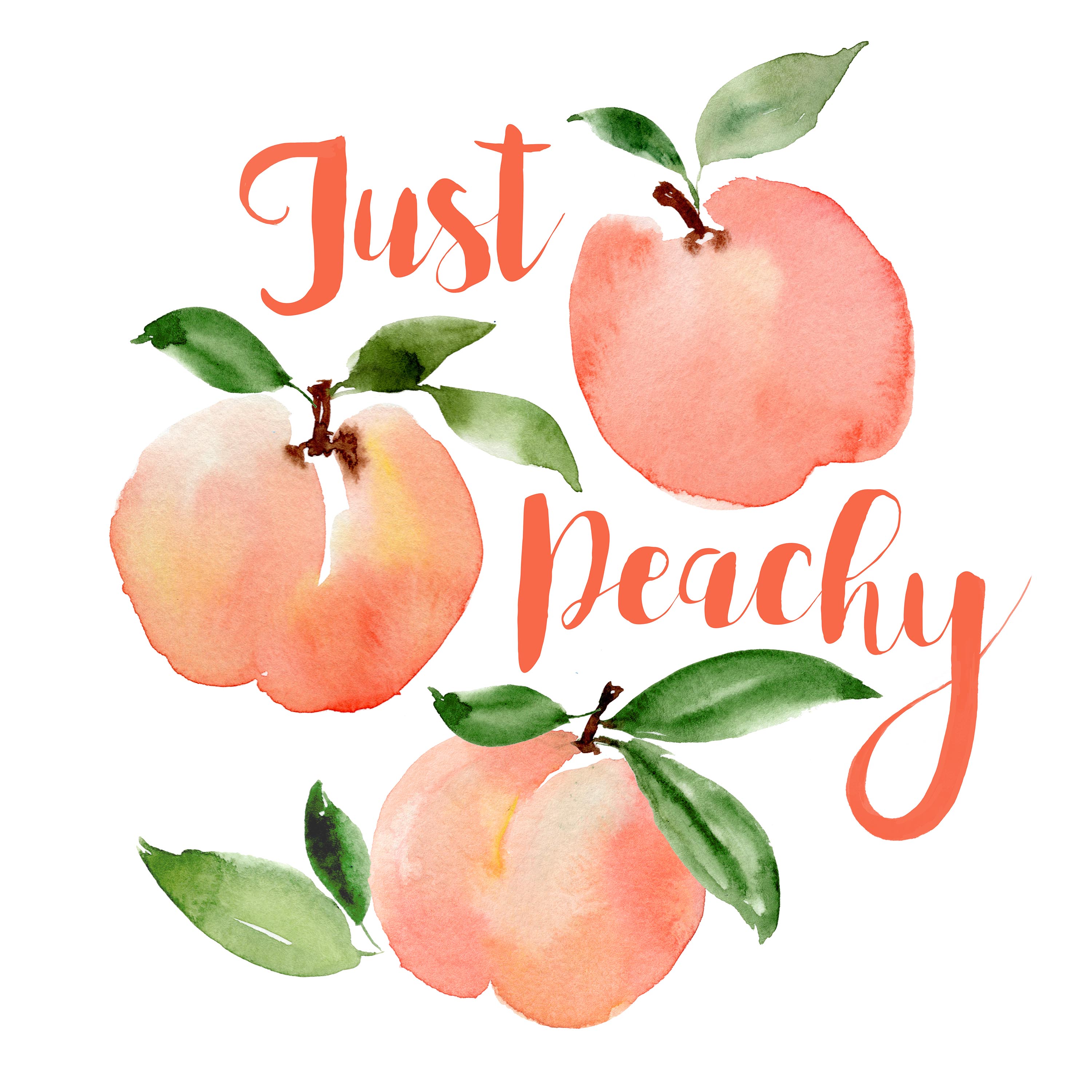 Sara Berrenson Illustration just peachy