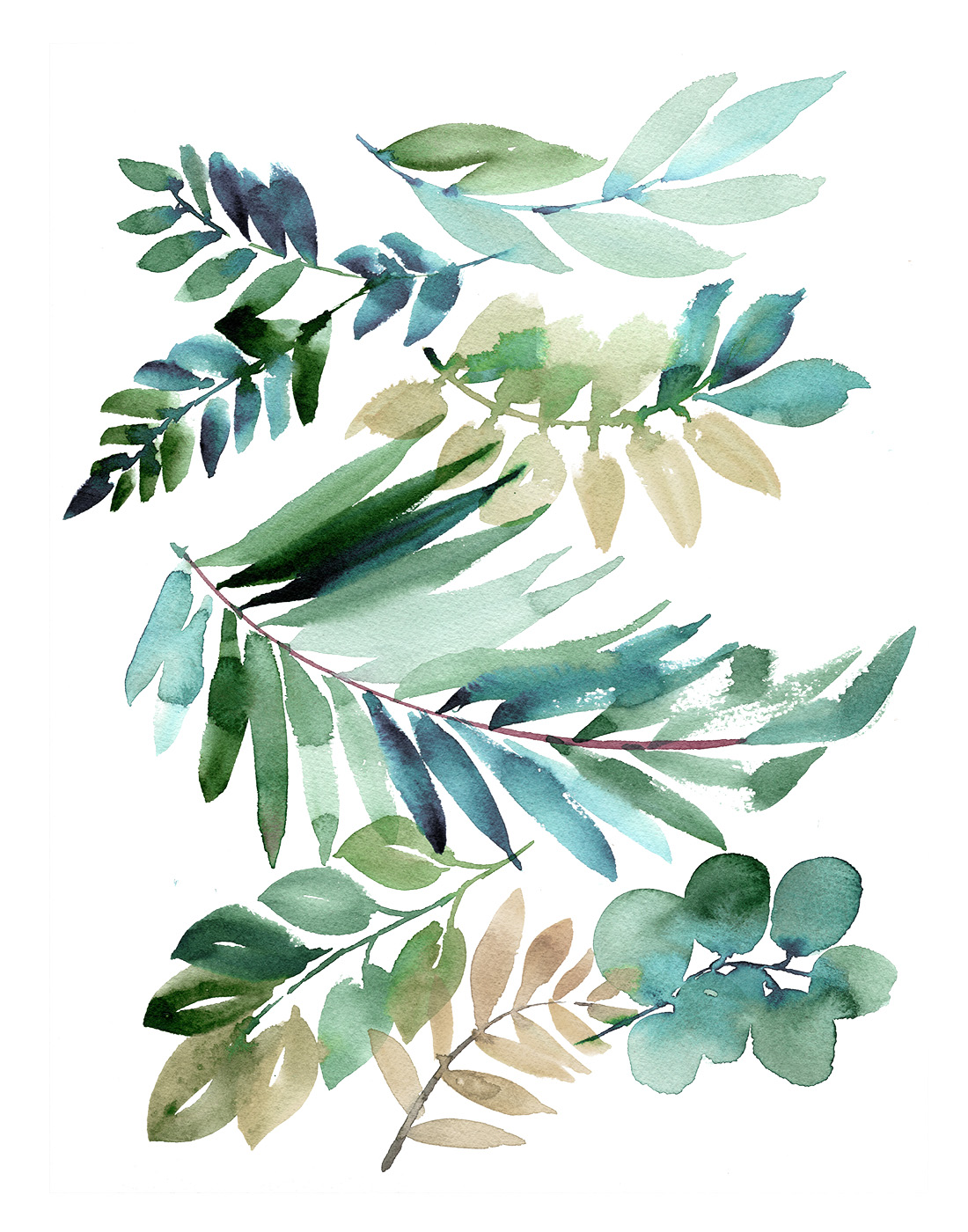 Sara Berrenson Illustration watercolor leaves and flowers