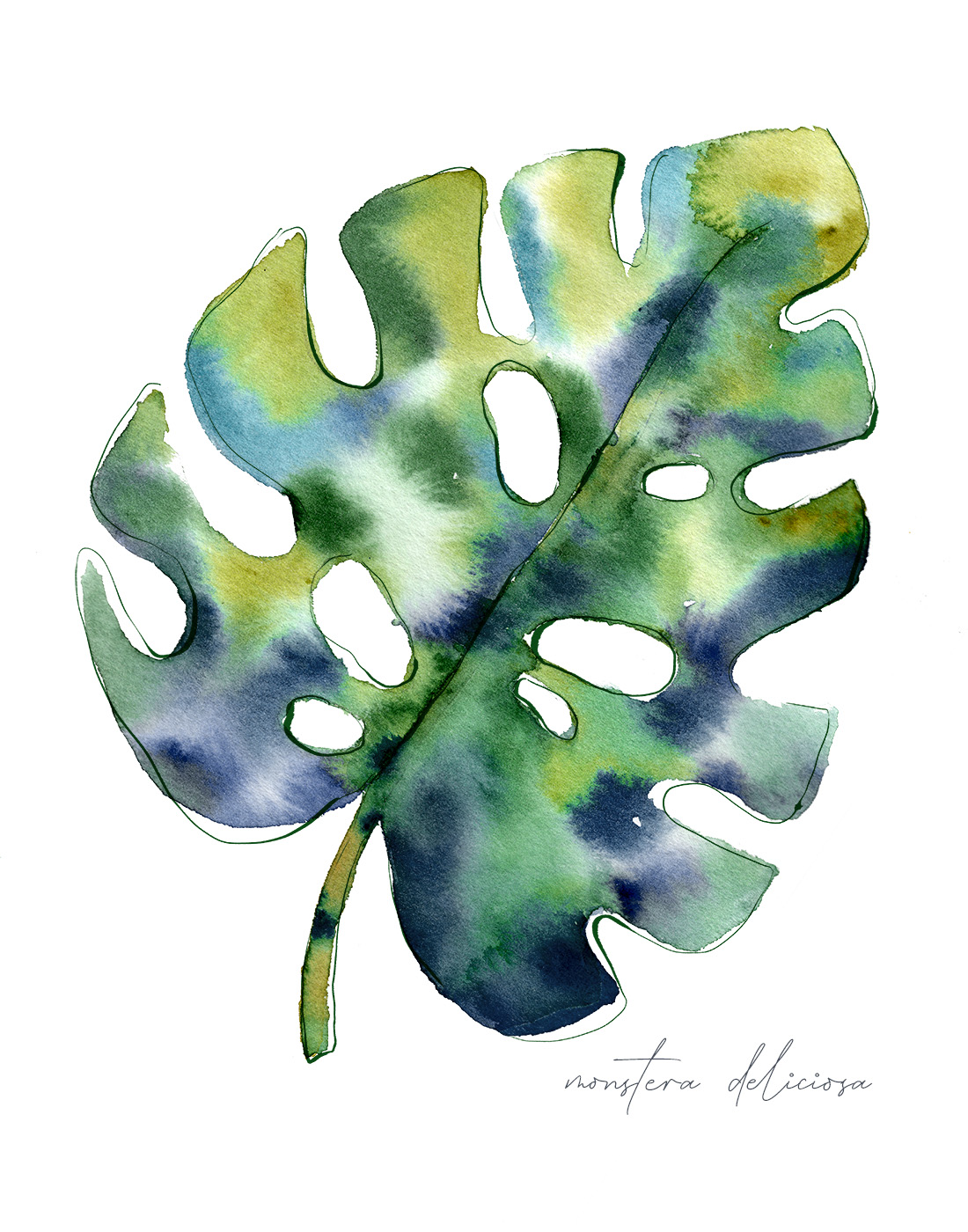 Sara Berrenson Illustration blue green leaf