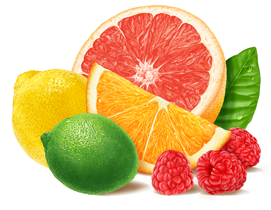 Pam Wall Illustration Fruit Assortment Lime Lemon Grapefruit Orange Raspberry