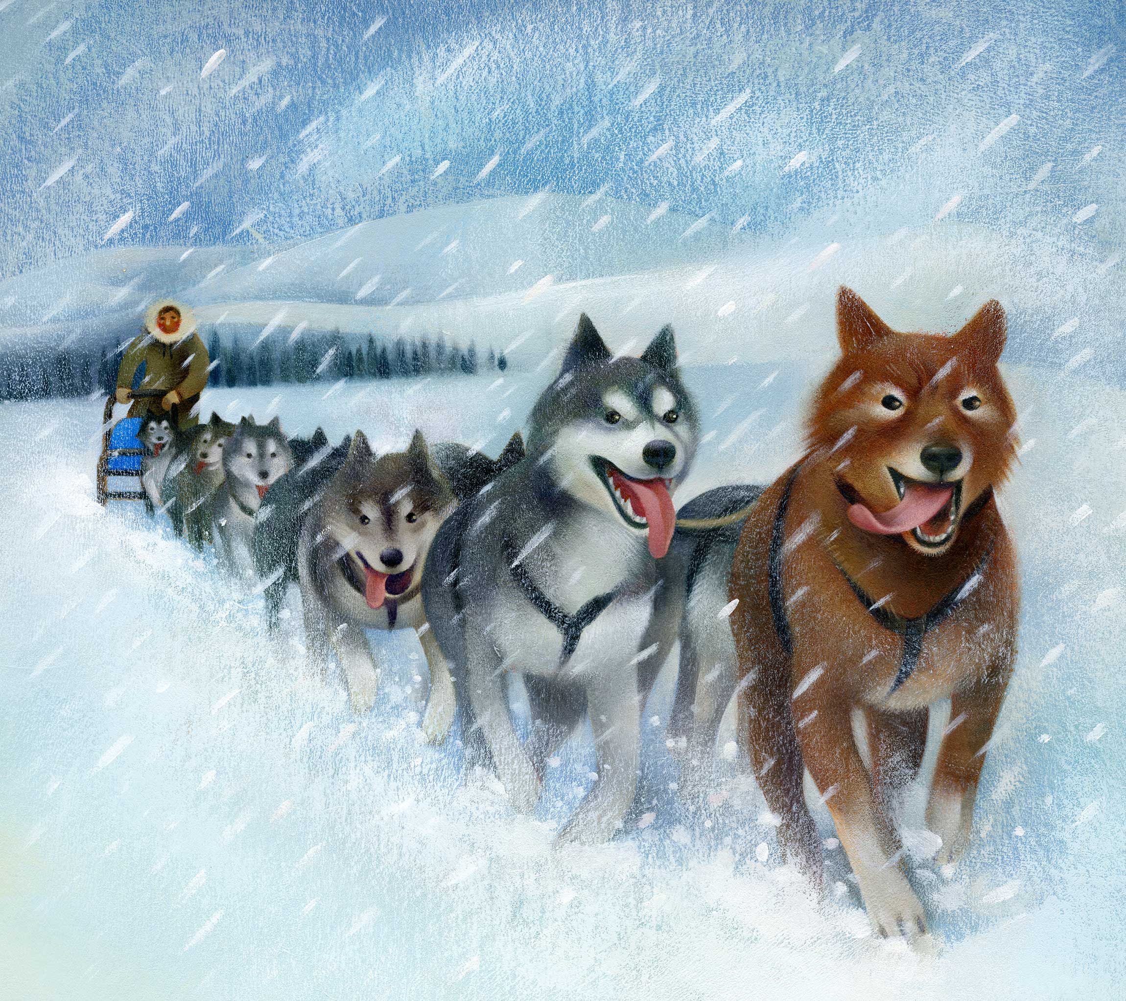 Jui Ishida Illustration Balto dog sled