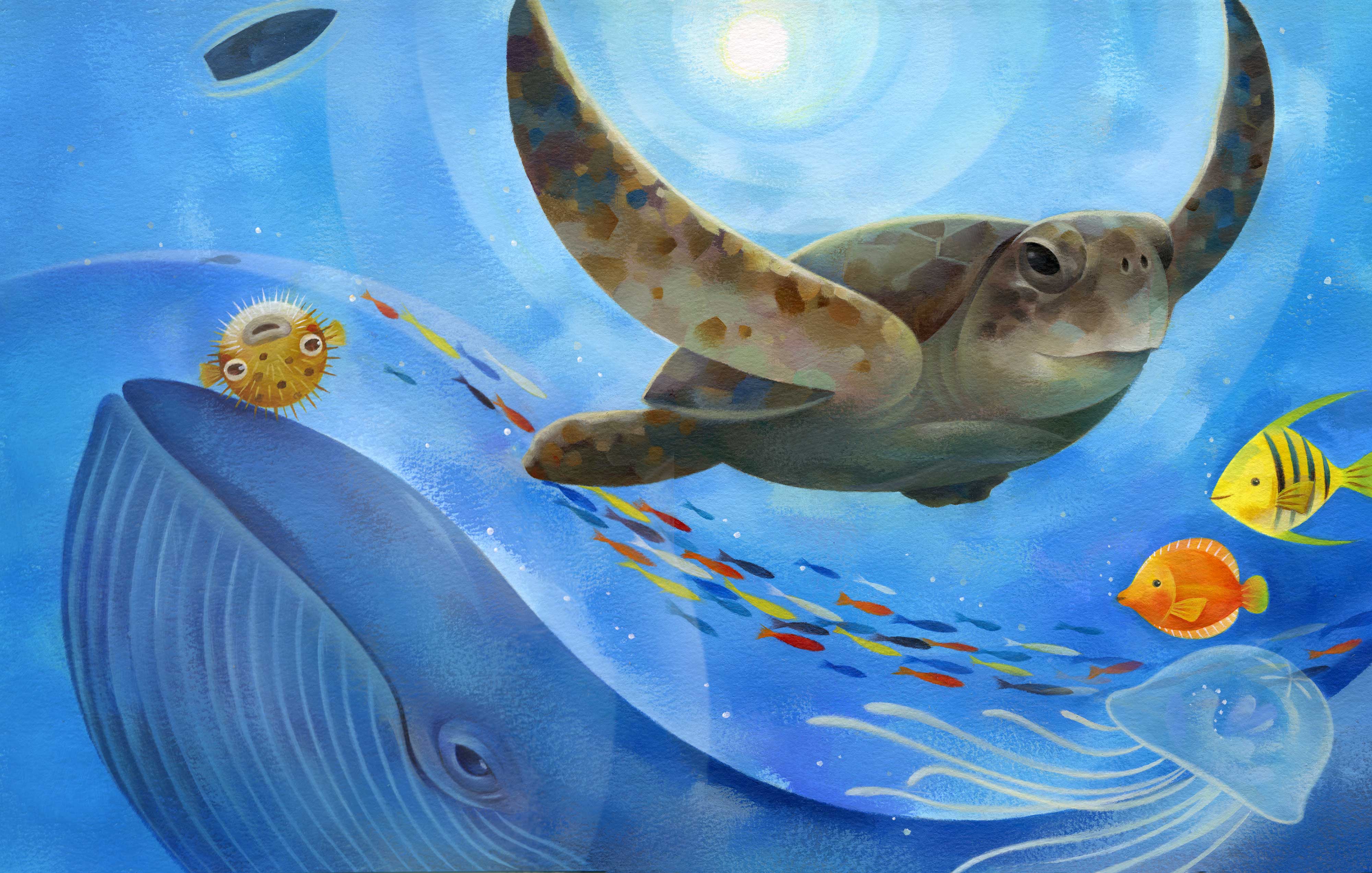 Jui Ishida Illustration whale turtles and fish