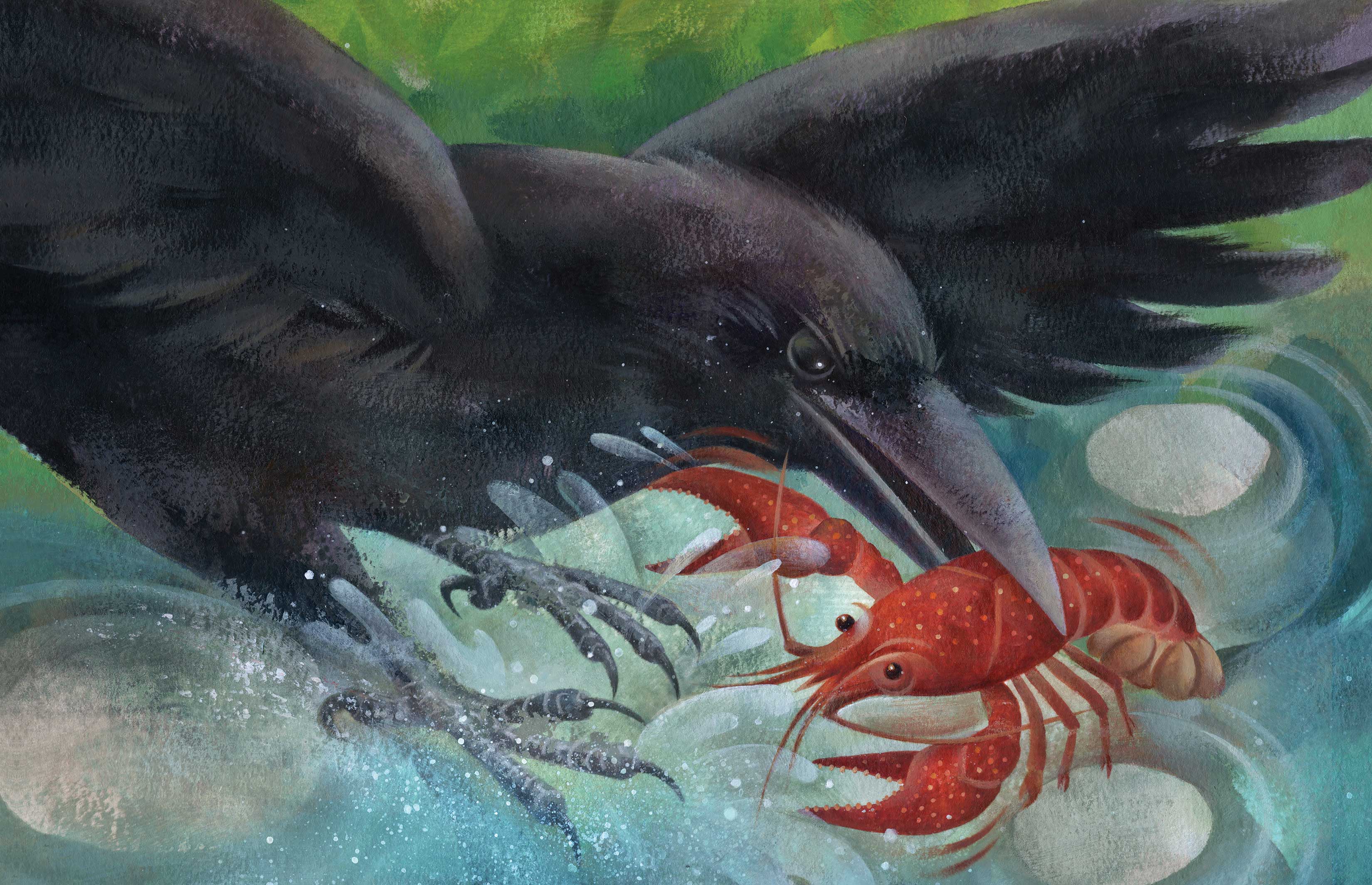 Jui Ishida Illustration Raven and Crayfish