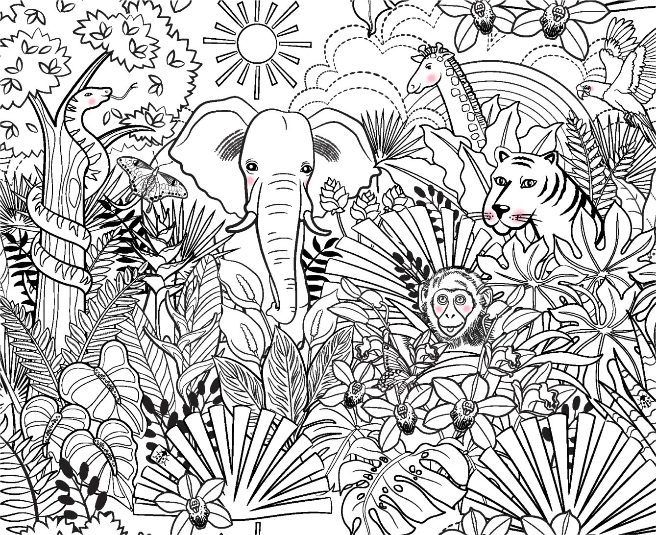 Pamela Duarte Illustration Imaginary Safari Black and White
