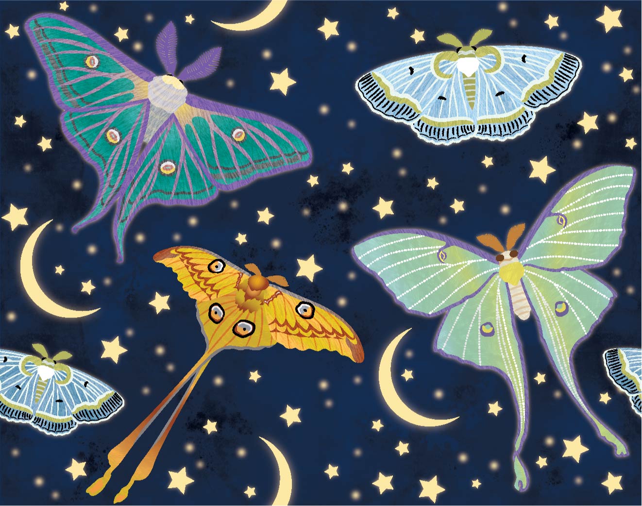 Pamela Duarte Illustration Moon Moths