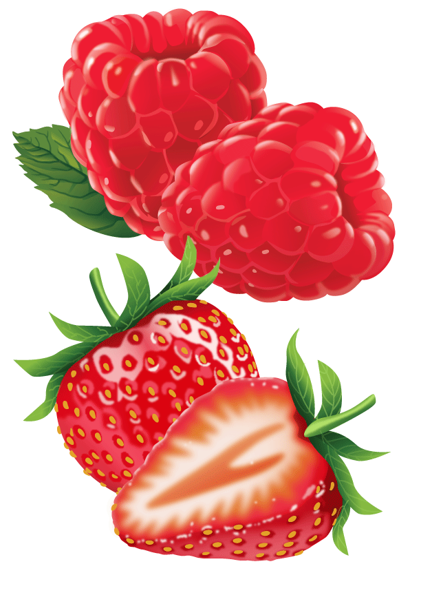 Pam Wall Illustration Strawberries and Raspberries