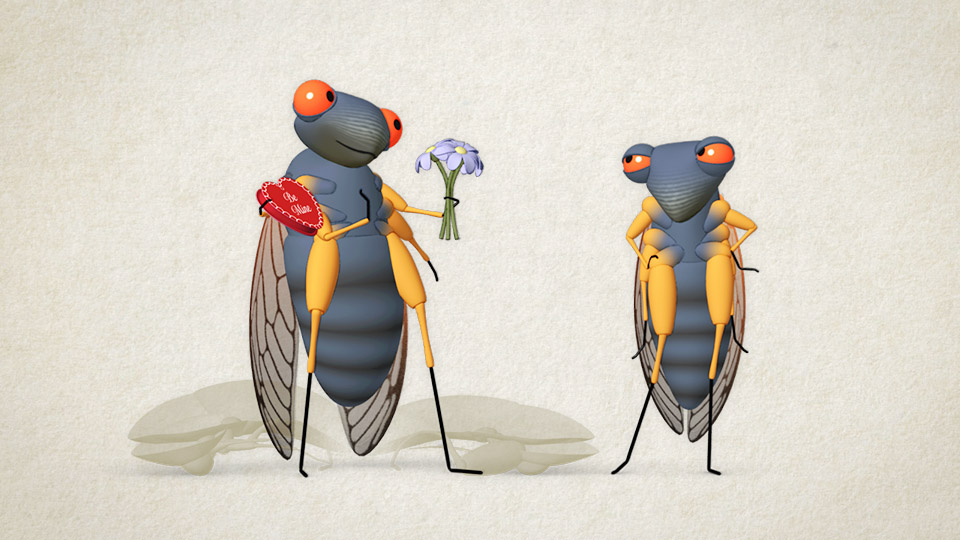 cicadas1_high